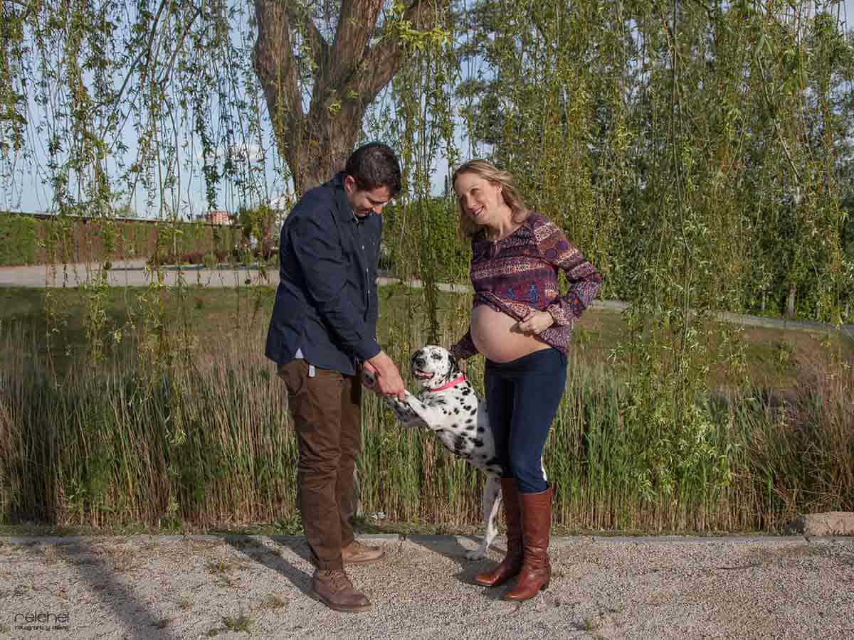 fotos de embarazada con mascota en exterior
