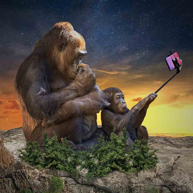 Comprar palo selfie, ¿Cual es el mejor?