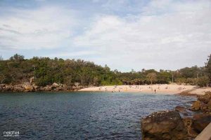 shelly beach manly