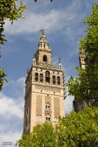torre del campanario de la catedral de sevilla