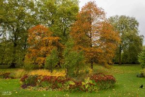parques de londres en otoño